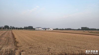 【把生活拍成電影】+正值麥?zhǔn)諘r(shí)