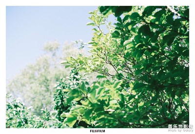 夏日好時(shí)光