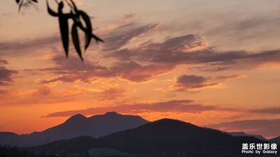 討論哪個是相機(jī)拍的哪個是手機(jī)拍的