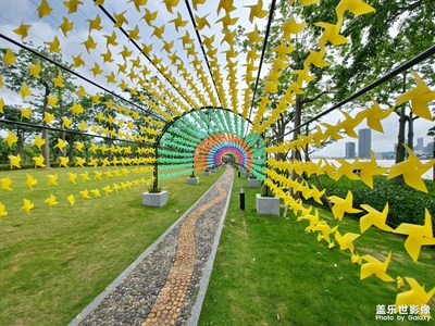 【把生活拍成電影】花海長廊