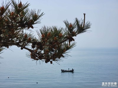 隨便拍拍 又是向社區(qū)大佬學(xué)習(xí)和一天