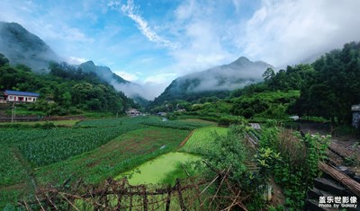 【把生活拍成電影】端午隨拍