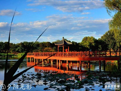 Galaxy S22 UItra 曲院風(fēng)荷