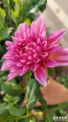 美是一種發(fā)現(xiàn)