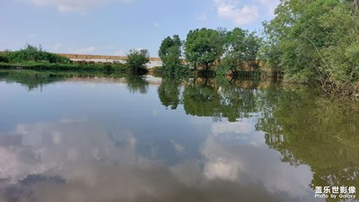 難得見的一口水塘