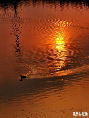 【與光影同行】+落日余暉