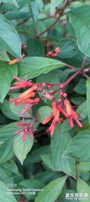 ??被好風景收買，剩下的全是好心情