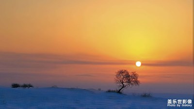 壩上雪