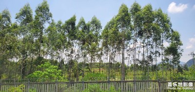 三星星耀貴廣線！