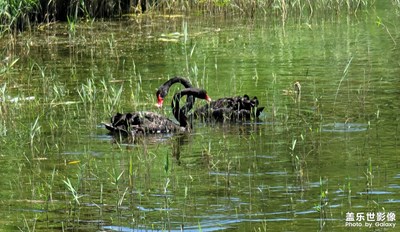 【不匆忙時(shí)刻】+和諧生態(tài)