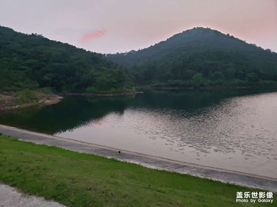 隨手拍