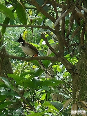 公園隨拍（一）