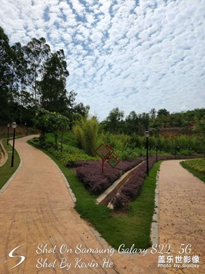 公園隨拍（三）