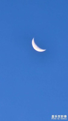 夏日月色