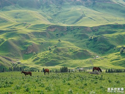 【我的夏天】+綠野仙蹤