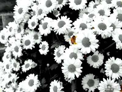 定期更新，必須比系統(tǒng)要勤快