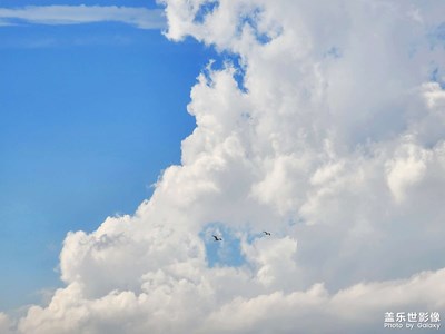 【我的夏天】屬于夏日的天空