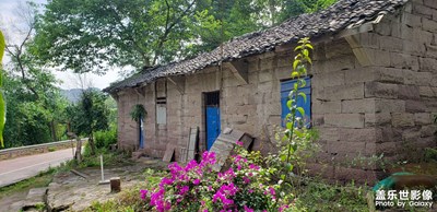 鄉(xiāng)村振興，寧?kù)o的濕地公園！