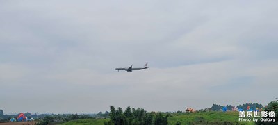 空港花田旁的隨拍！