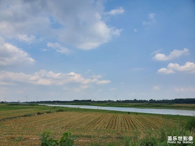 【我的夏天】愛生活，愛夏天