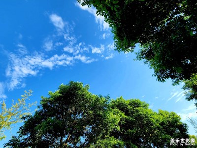 三十倍變焦原片