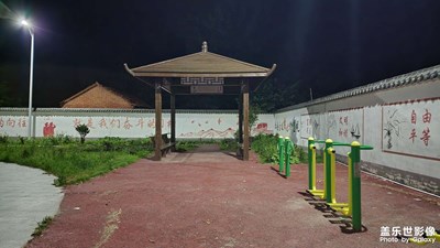 【夏之夜】小小公園夜拍