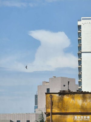 【我的夏天】+藍(lán)天白云小鳥(niǎo)