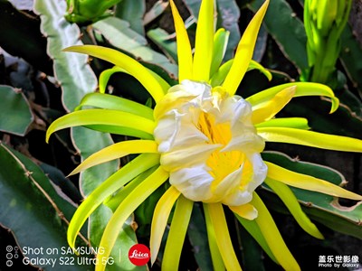 每日份的胡亂拍已經(jīng)送達(dá)