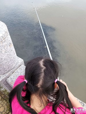 【我的夏天】帶小孩釣魚