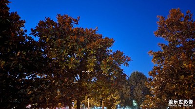 【盛夏的影像】熱熱熱，夜