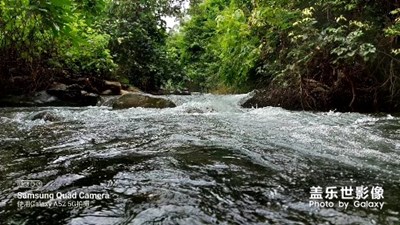 清澈見底的小溪