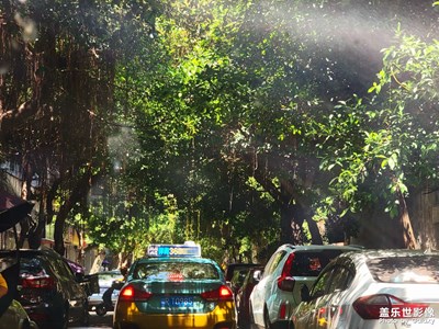 【我的夏天】+絢爛的夏天