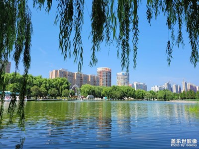 周末公園溜溜