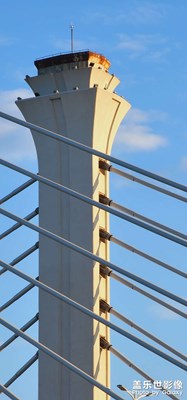 橋！    (大部分十倍長焦拍攝)  真的很清晰！