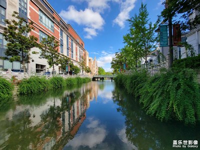 【夏日好時光】+夏日早晨