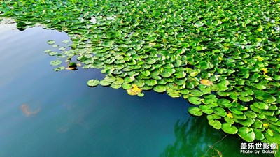 【半夏時(shí)光】+夏日色彩