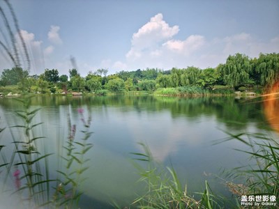 【半夏時光】+綠意盎然