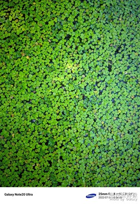 【屬于夏天的時刻】周末雜拍