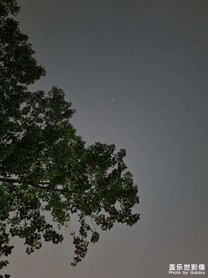 【唯愛七夕】+夜空尋銀河