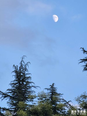 【天光云影】月色