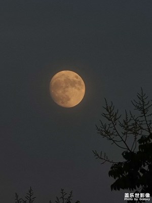 《屬于夏天的時刻》今晚的月亮