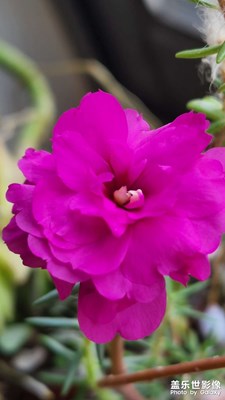 【帶著手機(jī)去旅行】隨便拍