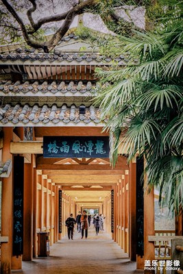  美麗柳州（二）