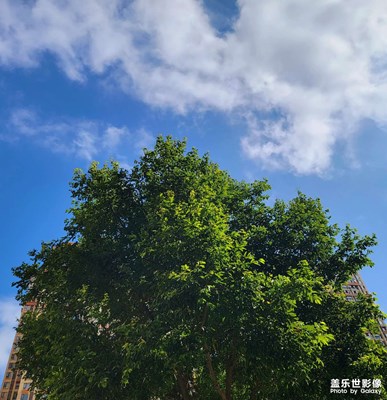 【唯愛七夕】+有愛且平常的一天