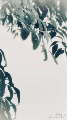 因?yàn)闊釔?ài)所以堅(jiān)持