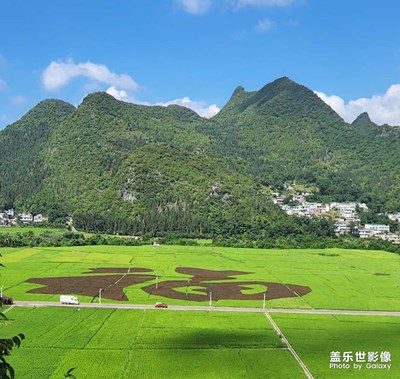 美好風(fēng)景！