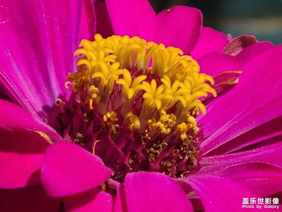 隨手拍一拍途中景色