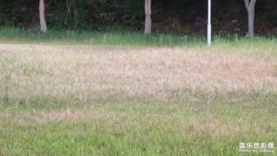 【與美好相逢】+天邊的彩霞