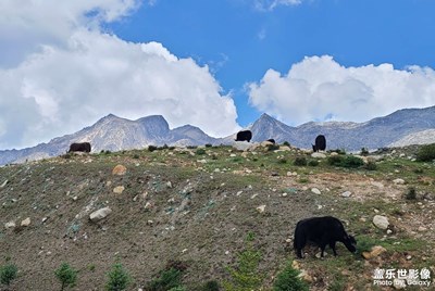 入秋后多變的高原……