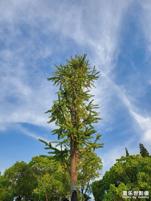 【與美好相逢】+下班好心情